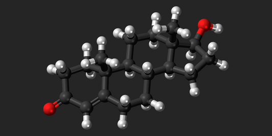 What is Testosterone and Why is it important?